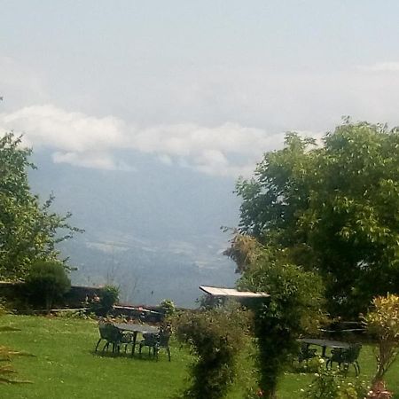 Vamoose Eco Lodge Chevron Kausani Eksteriør billede